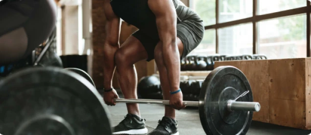 Full Body Workout